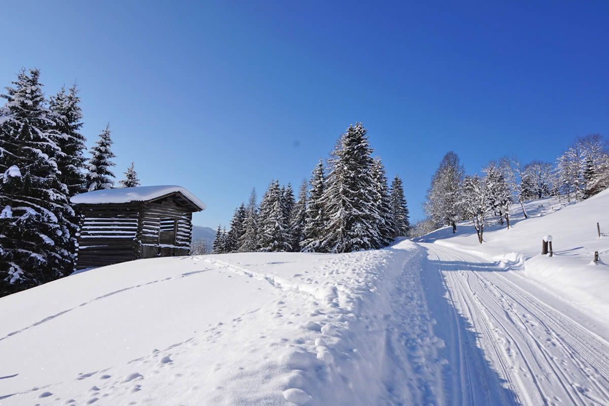 Winterspaziergang durch die Winterlandschaft an einem klaren schönen Wintertag
